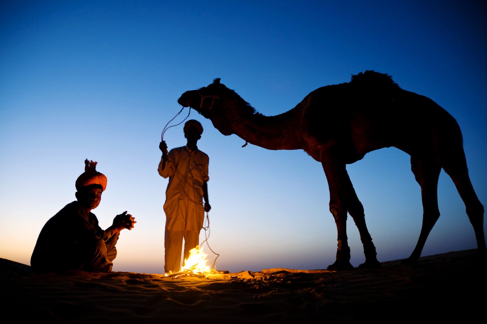 camel safari jaisalmer